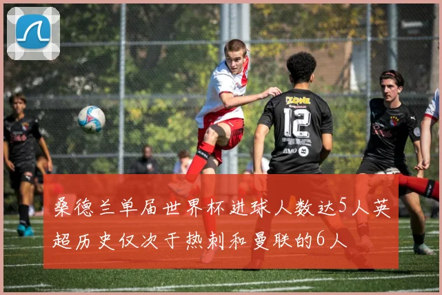 桑德兰单届世界杯进球人数达5人英超历史仅次于热刺和曼联的6人